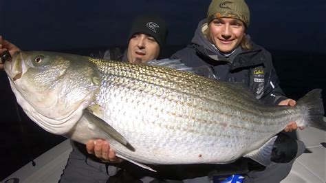 Striper Fishing Tips. How to boat BIG Striped Bass! Chesapeake Bay - YouTube