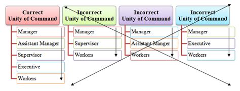 Unity of Command Principle - Meaning Example Advantages