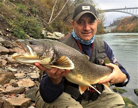 Niagara River / Lake Ontario Trib’s – Fishing is GOOD! Fishing Report ...