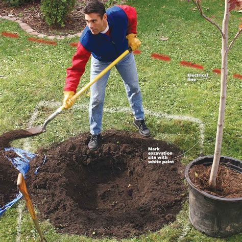 15 Expert Tips for Digging Holes | The Family Handyman