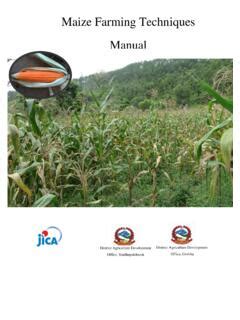 Maize Farming Techniques Manual - JICA / maize-farming-techniques ...