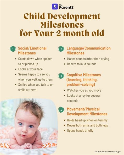 1-3 Months – Baby Growth And Development Milestones | The ParentZ