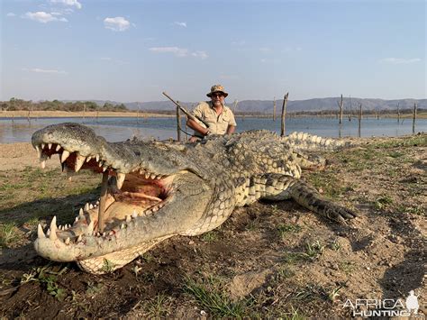 Nile Croc w/ NB Safaris | AfricaHunting.com