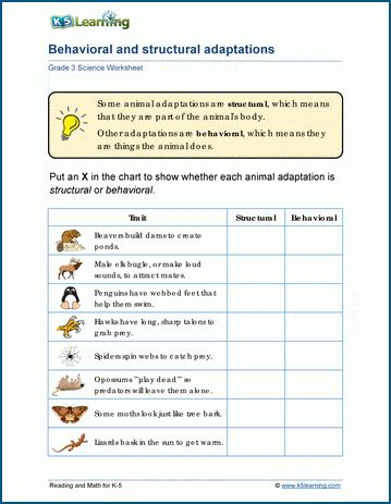 Behavioral Adaptations Worksheets | K5 Learning