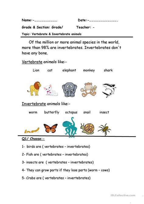 Beautiful Work Vertebrates And Invertebrates Worksheets Kindergarten Grammar Pdf