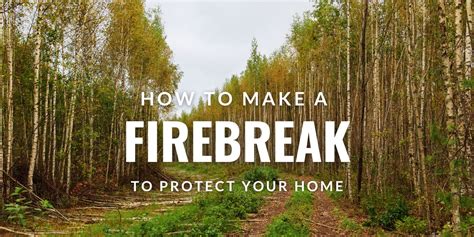 How to Make a Firebreak to Protect Your Home (where & how wide) in 9 EASY steps