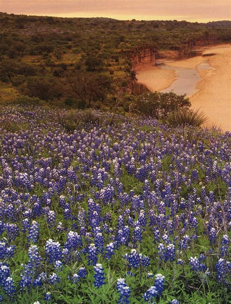 Llano River - Texas Rivers Protection Association