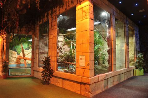 New Zoo Displays, Commercial Project | Page 29 | Reptile Forums