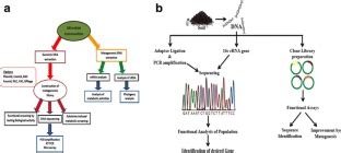 Metagenome Analysis: a Powerful Tool for Enzyme Bioprospecting | SpringerLink