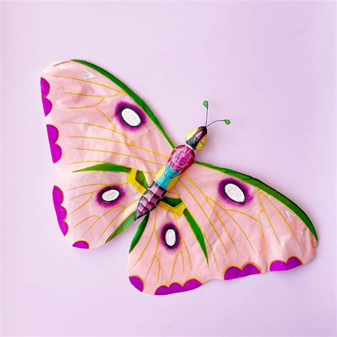 Butterfly Kite – Fair Play Projects