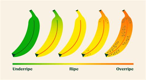 How To Quickly Ripen Bananas: 6 Ways Explained – Instacart