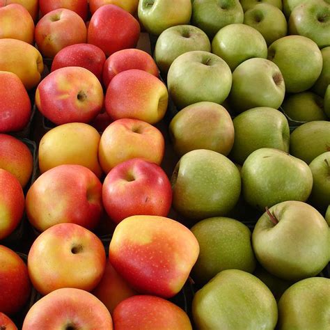 Organic Apples (pack of 6) - Organic to your Door