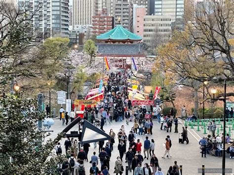 Recommend Tokyo cherry blossom spots 2023 - Actual visit photo