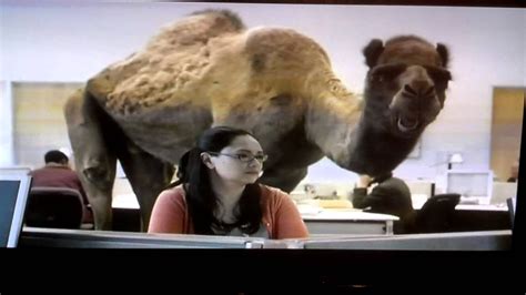 GEICO Hump day camel COMMERCIAL - YouTube