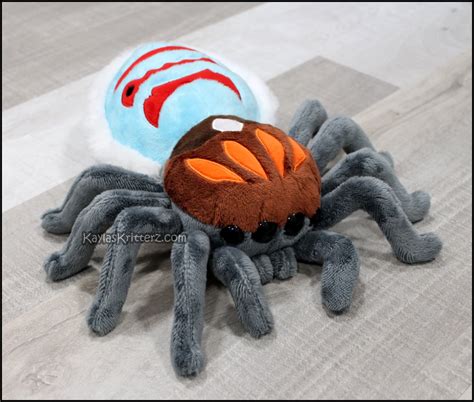 Plush Jumping Spider - craibas.al.gov.br