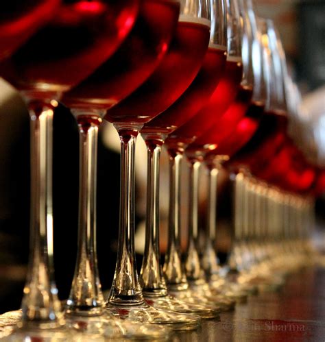 Four Seasons Wine – Faces Places Paces | Wine glass photography, Wine, Wine photography