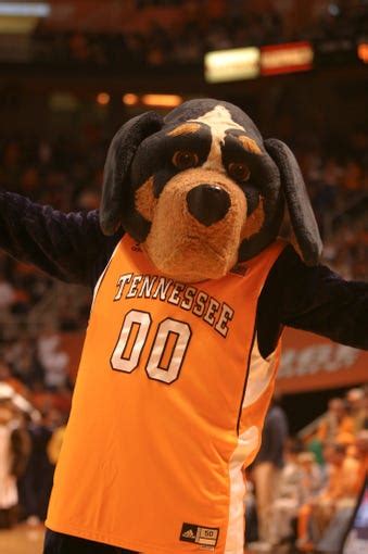 University of Tennessee Smokey mascot through the years