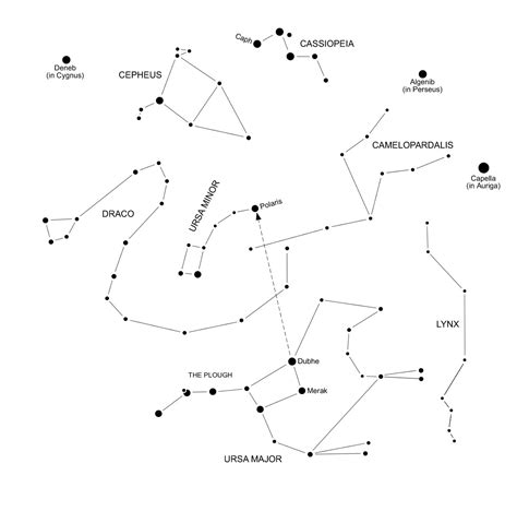 The North Circumpolar Stars | Starlight Nights