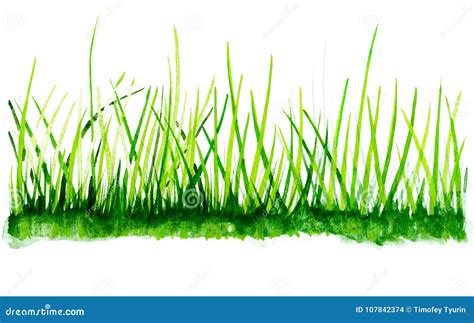 Watercolor Grass Background. Stock Illustration - Illustration of graphic, grunge: 107842374