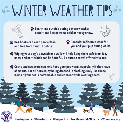 Winter Safety Tips Printable