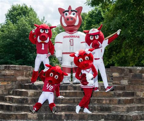 The History of 14 SEC Mascots and Nicknames | News | 2aDays News