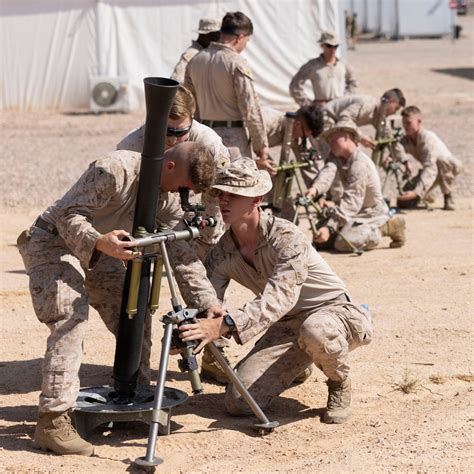 DVIDS - Images - U.S. Marines conduct dry fire exercises during Intrepid Maven 23.4 [Image 1 of 13]