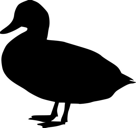 Clipart Water Mallard Duck - Png Download - Full Size Clipart (#2971254 ...