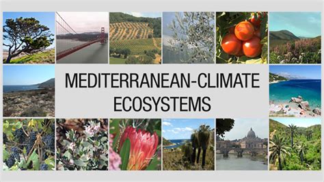 VIDEO: Shaping LIfe: The Geology of Mediterranean-Climate Ecosystems - UCTV - University of ...