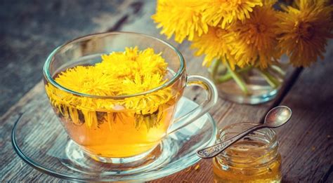 Dandelion Tea Benefits for Liver, Skin Health & More