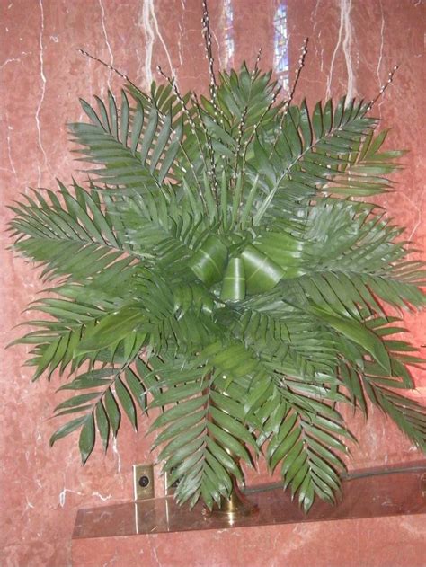 Palm Sunday Decor: Green Plant on Wooden Shelf