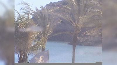 Albir weather Webcam | Live Webcam | Weather25.com