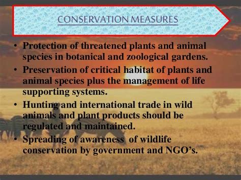 Wildlife conservation and its benefits