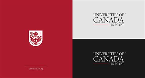 Best University Logo Designs for an Impressive Academic Brand