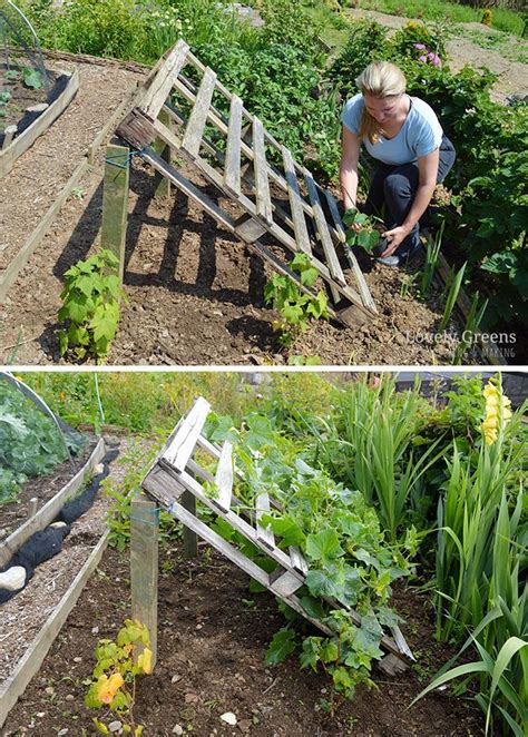 No Tools Required DIY Pallet Cucumber Trellis | Pallets garden ...