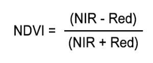 什么是NDVI（归一化植被指数）？ - 天韧科技