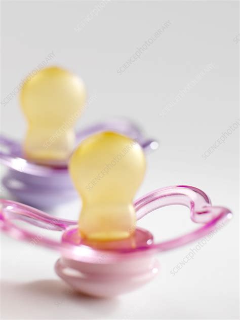 Baby's dummies - Stock Image - M830/1532 - Science Photo Library