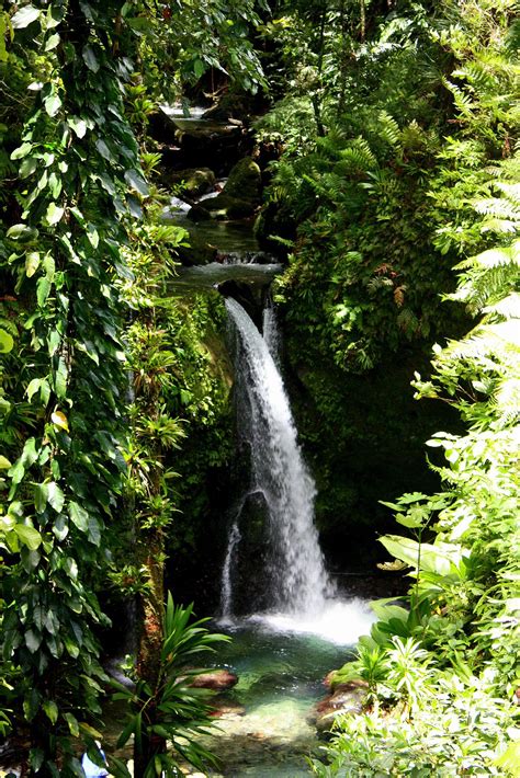 Dominica: Dominica's Most Beautiful Waterfalls