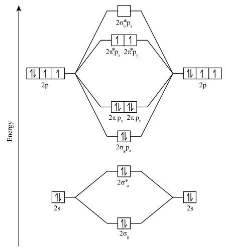 Draw the molecular orbital diagrams for the diatomics nitrogen, oxygen, and fluorine. Fill them ...