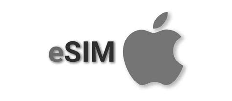 How To Use Dual SIM and eSIM on iPhone 11, XR, SE, & XS - AppleToolBox