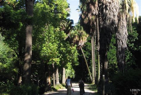 JARDIM BOTÂNICO, Lisboa | Botanical Garden, Lisbon | Botanical gardens, Garden planning, Secret ...