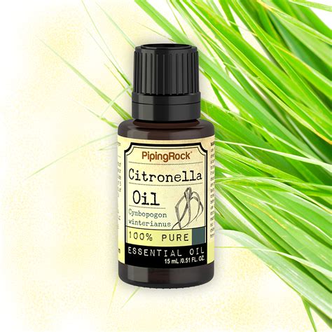 Citronella Oil is perhaps the most recognized as an ingredient in candles and sprays. This is ...