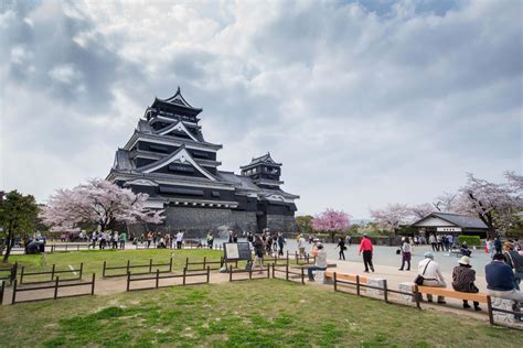 Kumamoto Castle Cherry Blossoms | Offizielle Tourismus-Website der ...