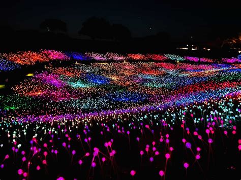 Visiting Sensorio Field of Lights in Paso Robles, California - All you ...