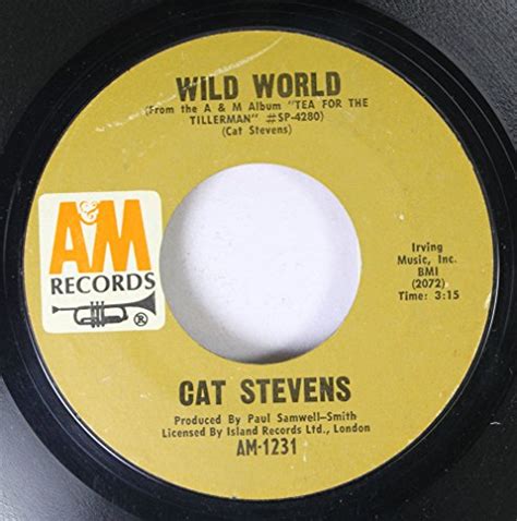 cat stevens wild world CD Covers