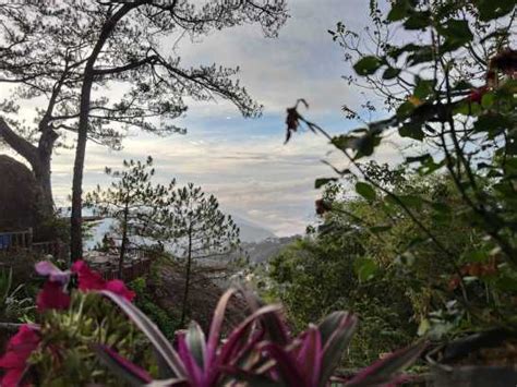 mines view park baguio view » Shellwanders