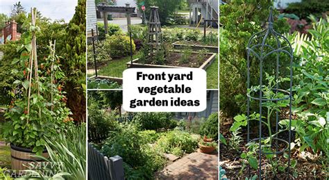 Front Yard Vegetable Garden Ideas: Grow a Mix of Food and Flowers