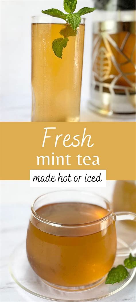 The best mint tea made from fresh mint leaves! Whether you decide to ...