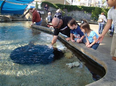 Aquarium Of The Pacific - New Exhibit! - Toddler Trails