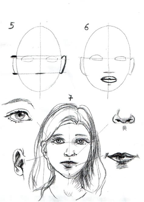 Apprendre a dessiner un visage etape par etape | Portrait drawing, Drawings, Pencil portrait