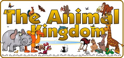 Animal kingdom clipart 20 free Cliparts | Download images on Clipground ...